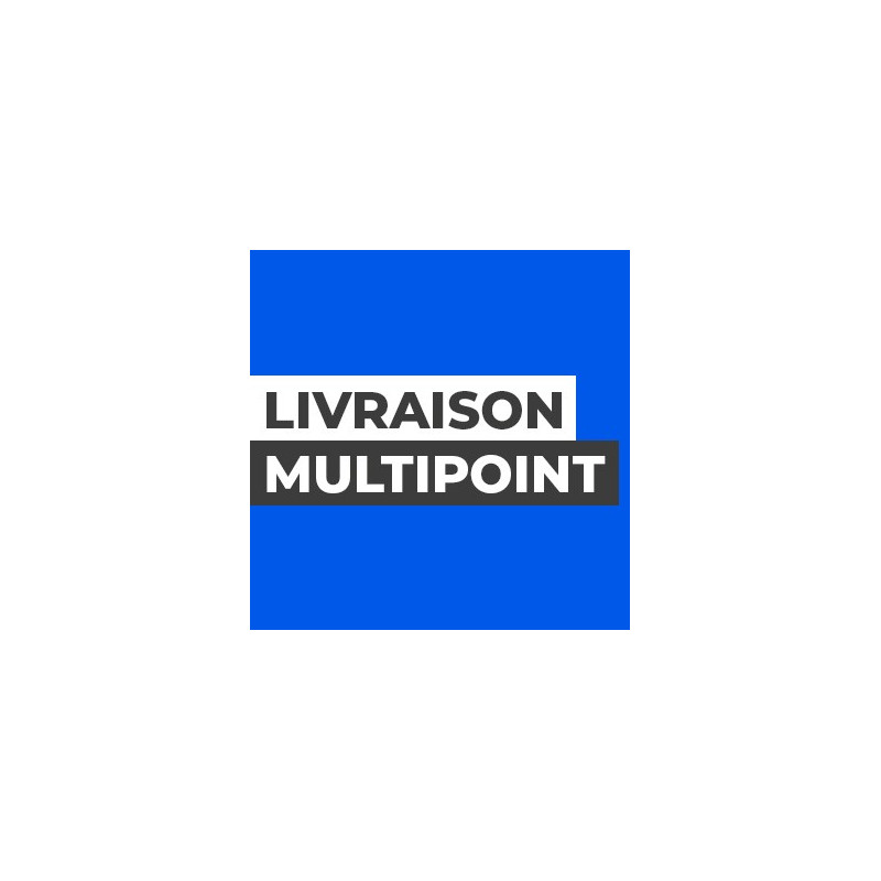 Livraison multipoint