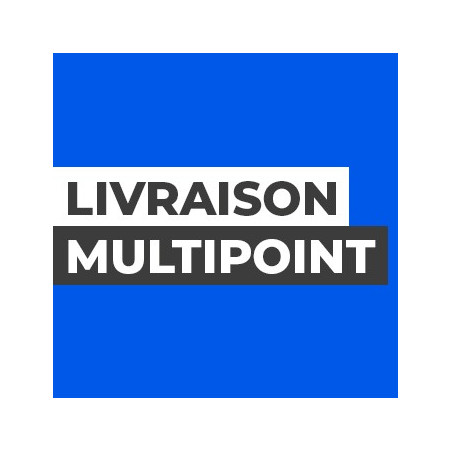 Livraison multipoint